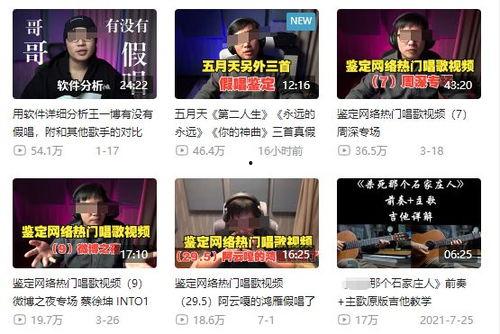 广东海丰爆料新闻事件最新,事件真相与后续进展全解析